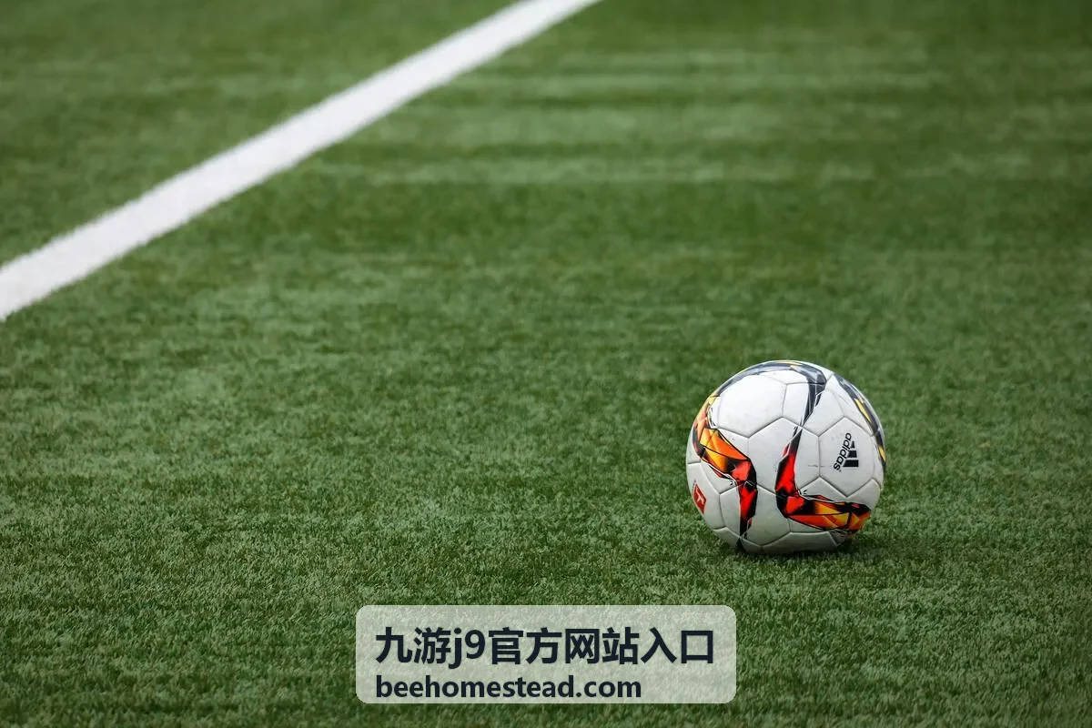 九游j9官方网站入口 等级成长加速方案封面